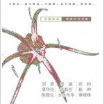 万物生长
