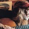 Willie Nelson Overtime 试听