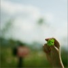 봄 春天 (Single)