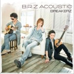 B.R.Z ACOUSTIC详情
