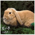 春の夢 (Single)详情
