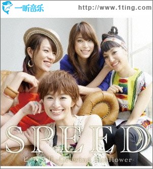 ヒマワリ -Growing Sunflower-