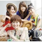 ヒマワリ -Growing Sunflower-详情