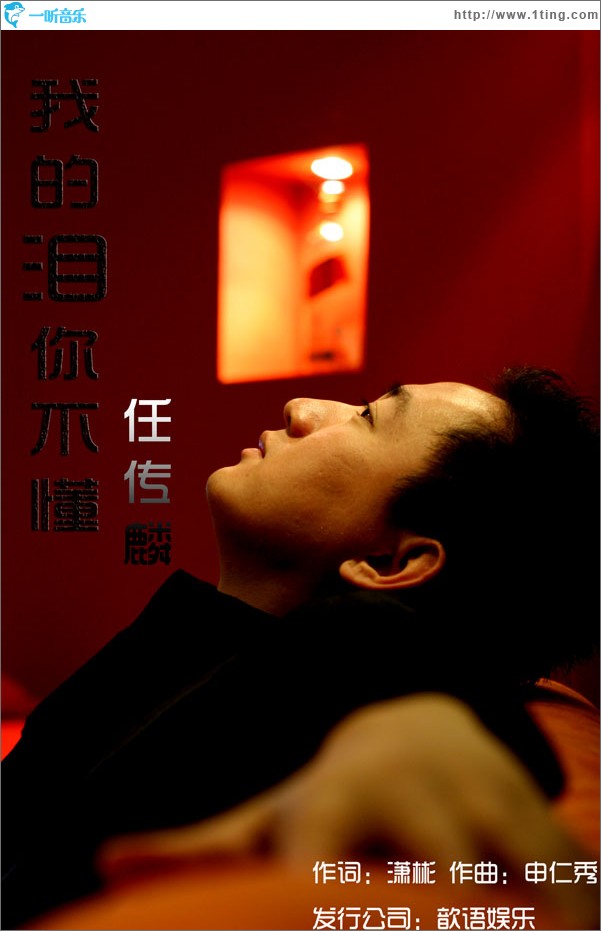 我的泪你不懂(单曲)