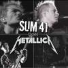 Sum 41 dose Metallica