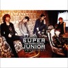 Super Junior 미인아 (Bonamana) 试听