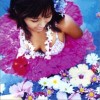 Minmi ハイビスカス 试听