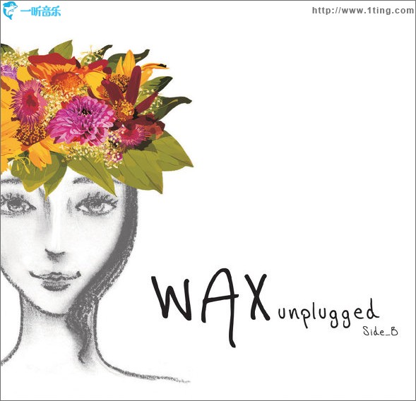 Wax Unplugged Side B
