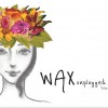 WAX 원하고 원망하죠 试听