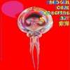 独立音乐合辑 聪明的孩子都爱Bad girl 试听