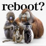 reboot ～あきらめない詩～ / 流れ星 (Single)