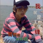 我就是王伊锋详情