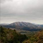 Mount Wittenberg Orca详情