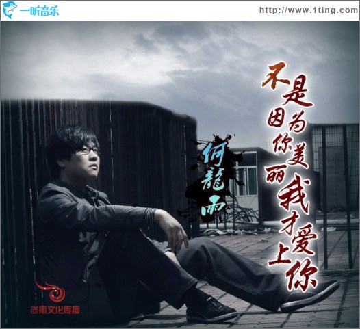 不是因为你美丽我才爱上你(单曲)