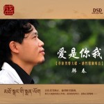 爱是你我详情