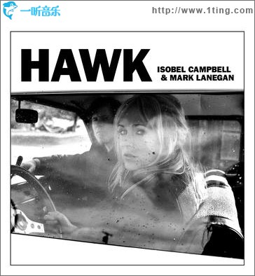 Hawk