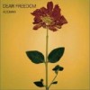 ACIDMAN DEAR FREEDOM 试听