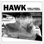 Hawk详情