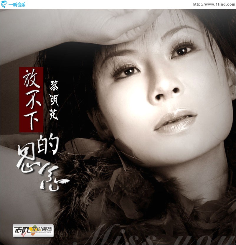 放不下的思念(单曲)