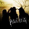 PENICILLIN Rosetta(inst.) 试听