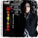 你的泪湿了我的心(单曲)详情