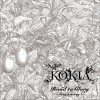 吉田亚纪子(KOKIA) Road to Glory ～for Dragon Nest White Version～ 试听