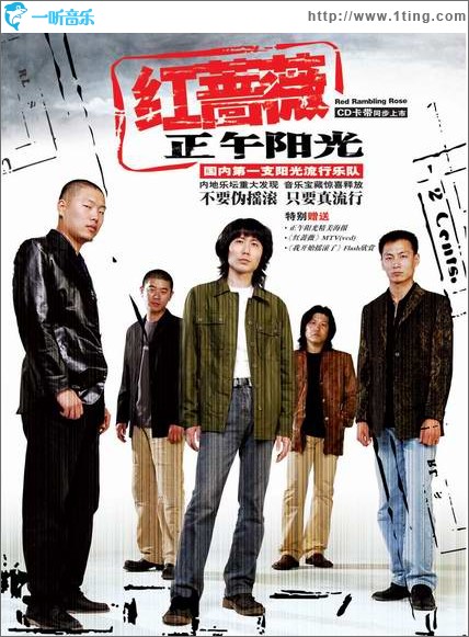 红蔷薇