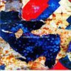 world's end girlfriend All Imperfect Love Song 试听
