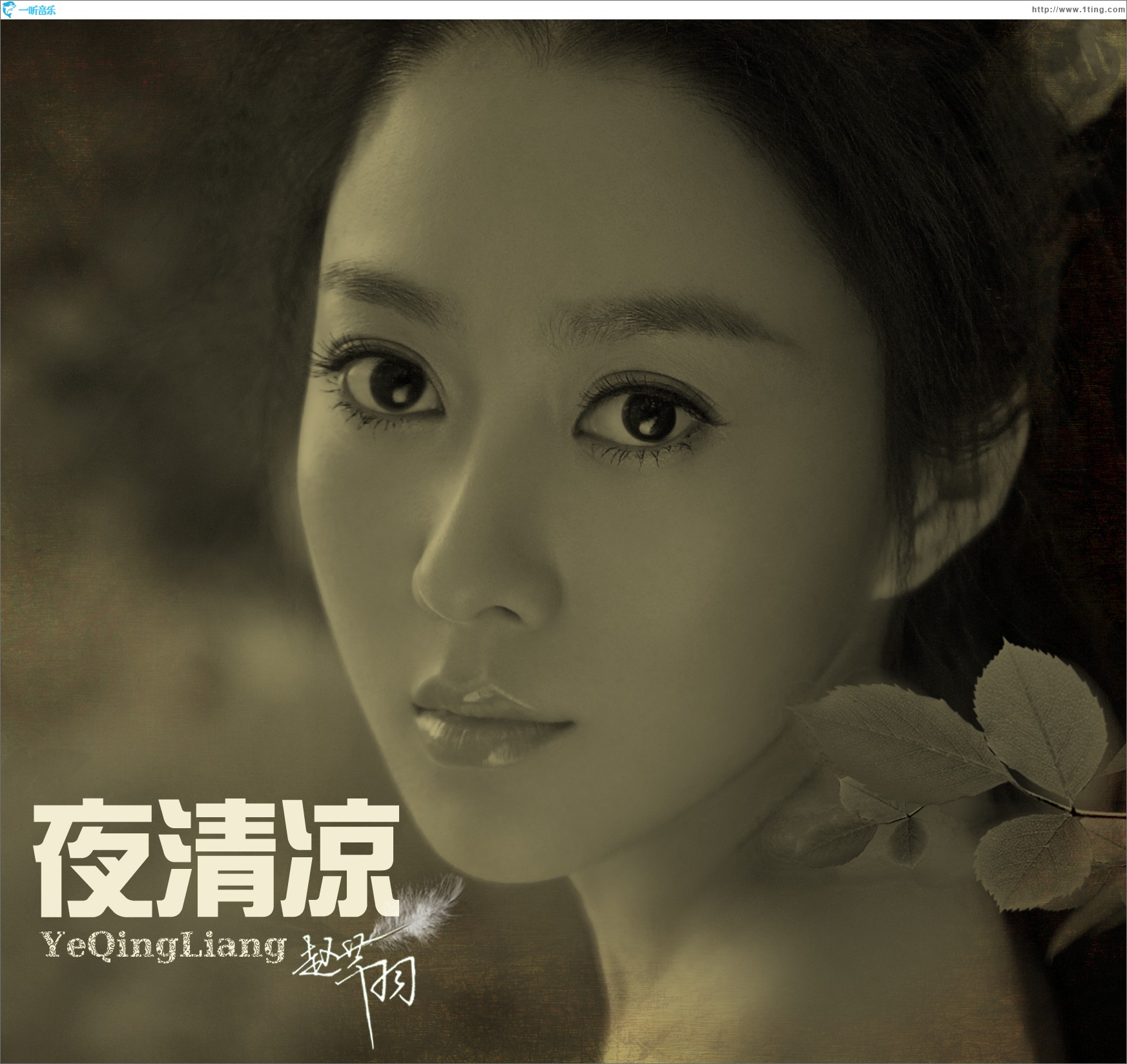 夜清凉(单曲)