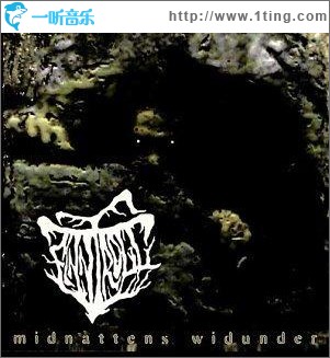 Midnattens Widunder