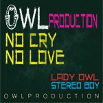 No Cry No Love (Single)详情
