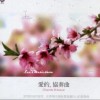 白日梦 Applemint 苹果薄荷 试听