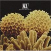 iLL Eden 试听