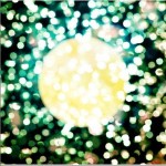 ムーンライト――――。 (Single)详情