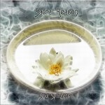 灵魂碎片 Soul Splinters