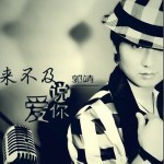 来不及说爱你(单曲)详情