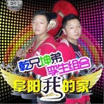 阜阳我的家(单曲)详情