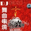 群星 别在我离开之前离开(DJ舞曲)-雷诺儿 试听