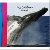 Mr.Children ロックンロールは生きている 试听