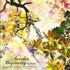 Anan Ryoko Our Garden 试听