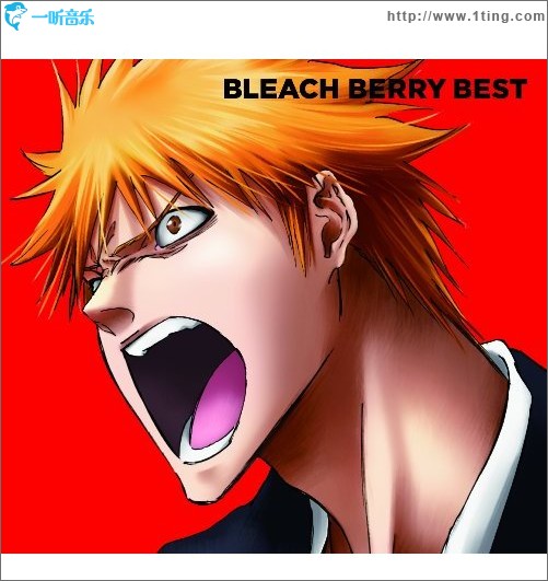 BLEACH BERRY BEST
