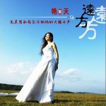远方(单曲)详情