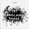 PJ Harvey The Words That Maketh Murder 试听