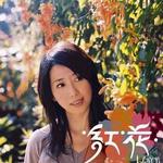 红花详情