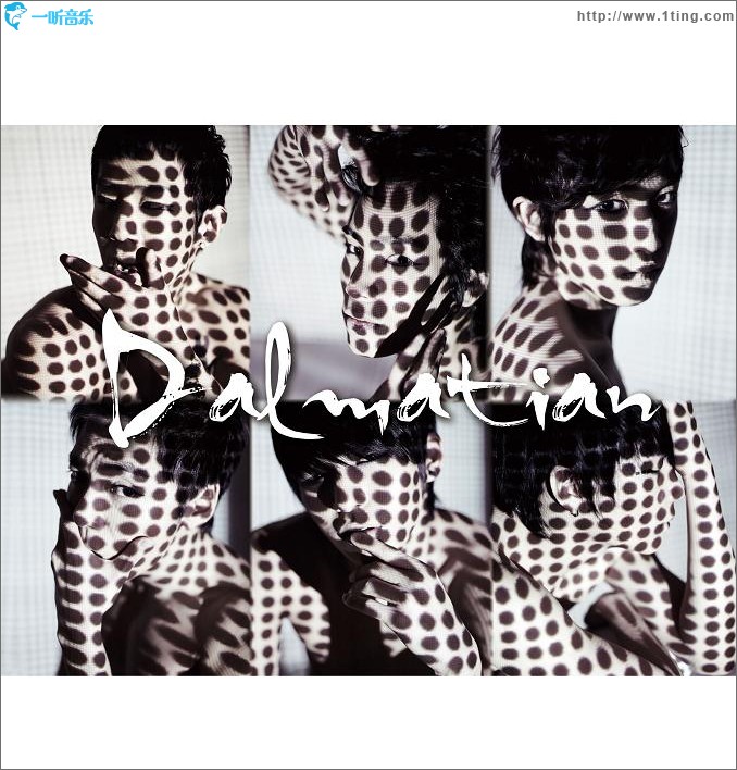 달마시안 DALMATIAN