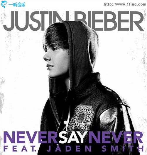 Never Say Never (The Remixes)