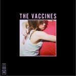 What Did You Expect From The Vaccines?详情
