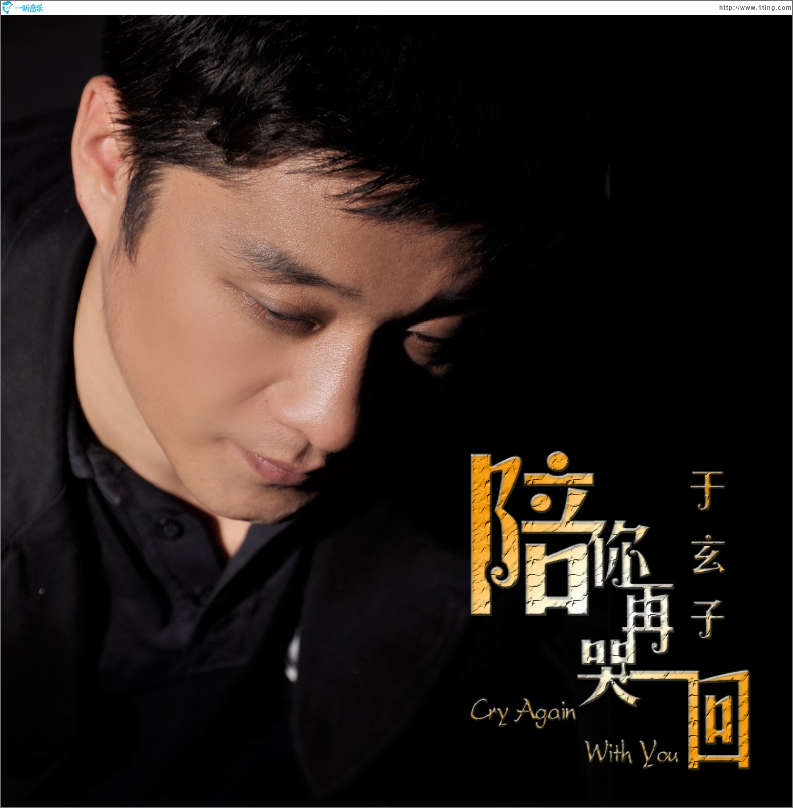 陪你再哭一回(单曲)