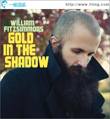 Gold in the Shadow