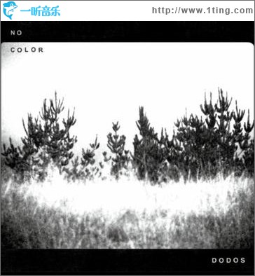 No Color
